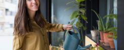 Une personne arrose des plantes vertes sur le balcon de son appartement.